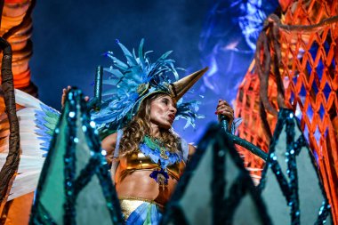 Rio de Janeiro, Brezilya - 15 Şubat 2026: Rio Karnavalı 2026 özel grubu sırasında Sambadrome 'da bir akademisyen de Niteroi samba okulu geçidi düzenlendi