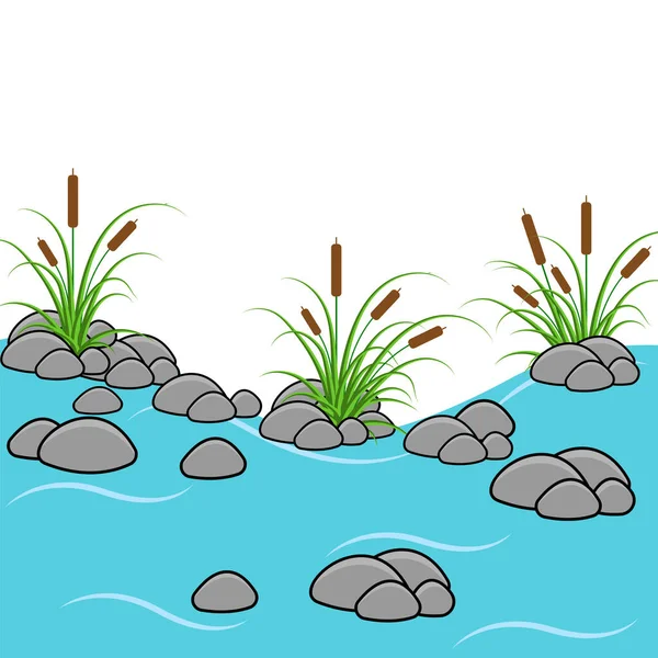 Rivière de dessin animé avec roseaux, herbe et pierres isolés sur fond blanc. Conception plate vectorielle — Image vectorielle