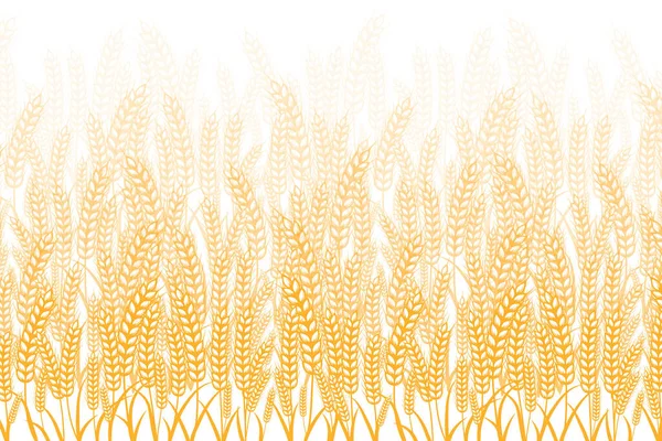 Campo de trigo, cebada, avena o centeno sobre un fondo blanco. Ilustración vectorial — Vector de stock