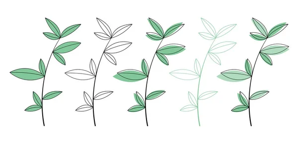 Collezione Foglie. Set di elementi grafici botanici vettoriali isolati su sfondo bianco. — Vettoriale Stock