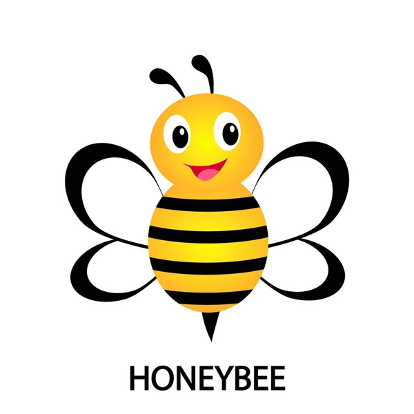 Včelí vektor s nápisem Včela medonosná. Roztomilá vektorová ilustrace — Stockový vektor