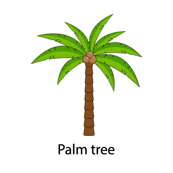 Palm vector, com a inscrição Palm tree. Palmeira com cocos isolados sobre fundo branco. — Vetor de Stock