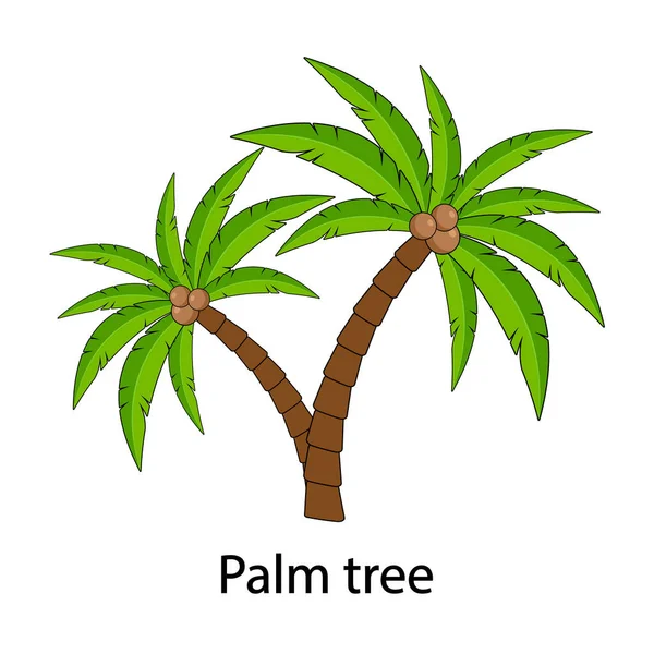 Palm vector, com a inscrição Palm tree. Palmeira com cocos isolados sobre fundo branco — Vetor de Stock