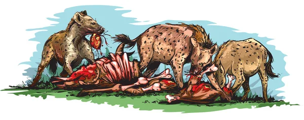 Comer hienas africanas — Vector de stock