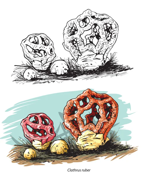 Vrăjitoare ciuperci inima — Vector de stoc