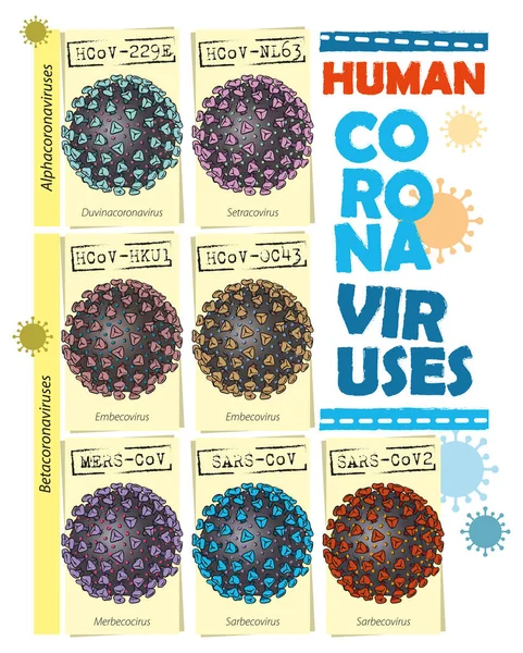 Illustration Vectorielle Des Types Coronavirus Infographie — Image vectorielle