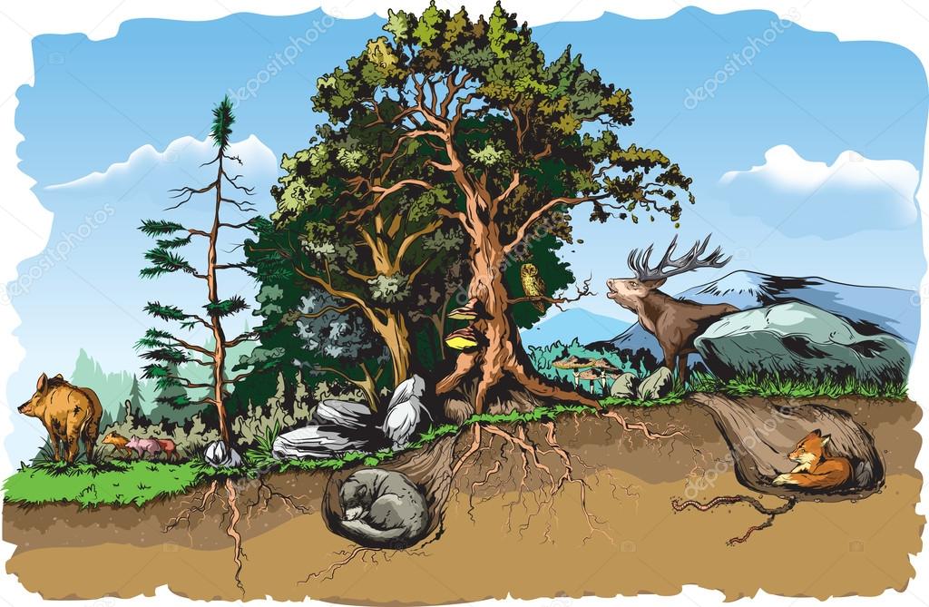 habitat #hashtag