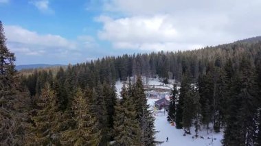 Kopaonik, Sırbistan - 9 Mart 2026: Kayakçılar yoğun kozalaklı orman ve kış manzarasıyla çevrili Kopaonik dağındaki Mali Karaman kayak yamacından iniyorlar.