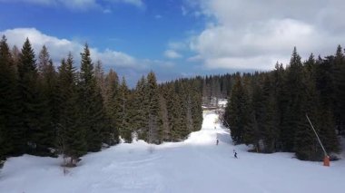 Kopaonik, Sırbistan - 9 Mart 2026: Kayakçılar yoğun kozalaklı orman ve kış manzarasıyla çevrili Kopaonik dağındaki Mali Karaman kayak yamacından iniyorlar.
