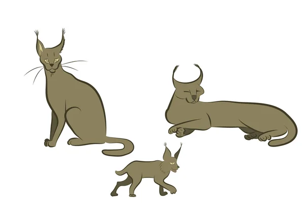 Trois chats sauvages — Image vectorielle