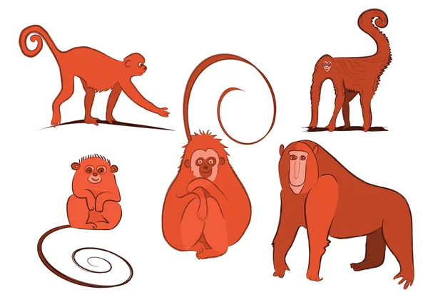 Groupe singes orange — Image vectorielle