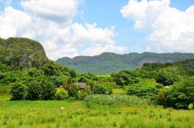 Milli Parkı Vinales