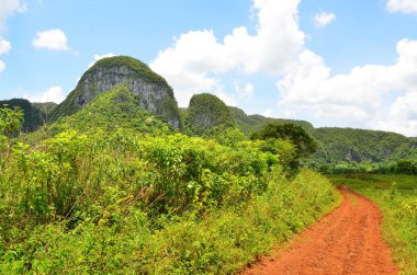 Milli Parkı Vinales