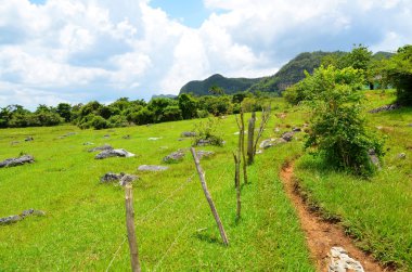 Milli Parkı Vinales