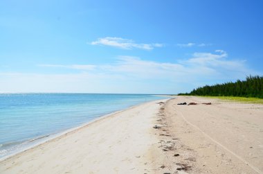 Cayo Jutías, Cennet plaj