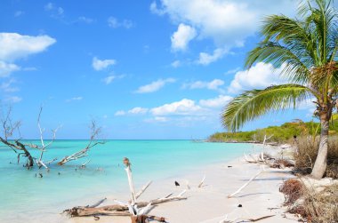 Cayo Jutías, Cennet plaj
