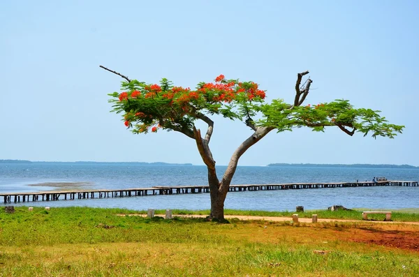 Puerto Esperanza, Cuba — Stock Photo, Image