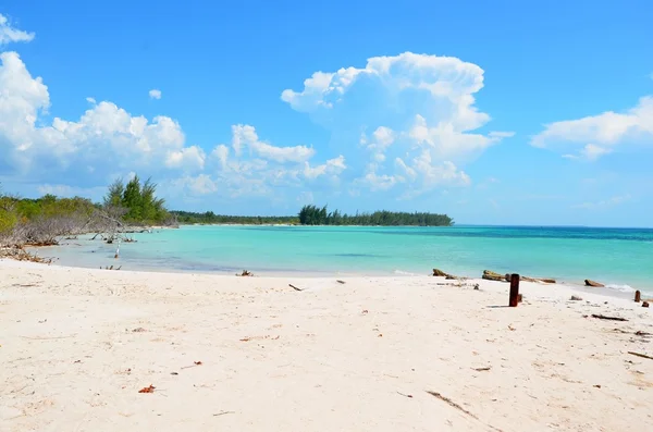 Paradise beach w Cayo Jutías — Zdjęcie stockowe