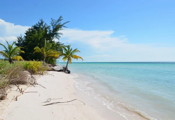 Praia do paraíso em Cayo Jutías — Fotografia de Stock