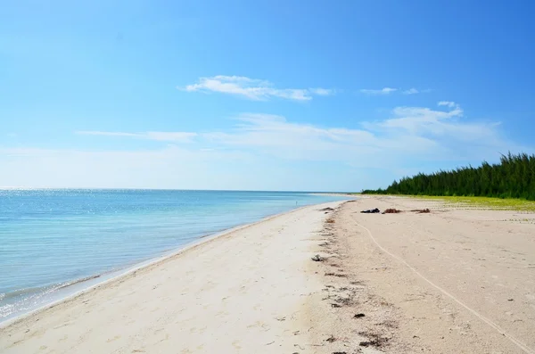 Praia do paraíso em Cayo Jutías — Fotografia de Stock