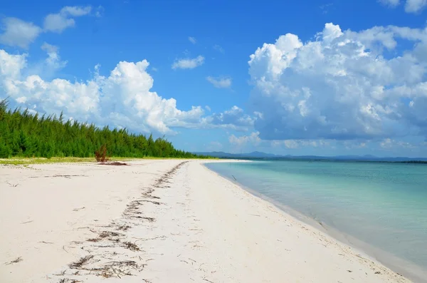 Plage paradisiaque à Cayo JutXoas — Photo