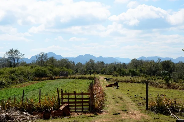 Nationalpark Vinales — Stockfoto