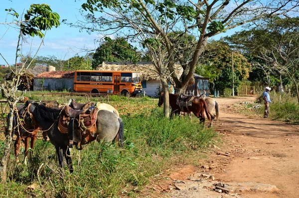 Parco Nazionale Vinales — Foto Stock