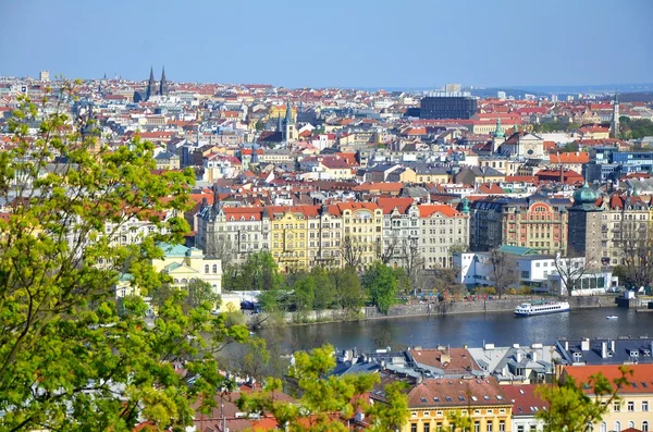 Telhados vermelhos típicos de Praga — Fotografia de Stock