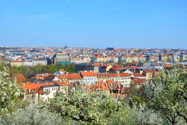 Petrin Parkı'ndan bir Prag görünümü