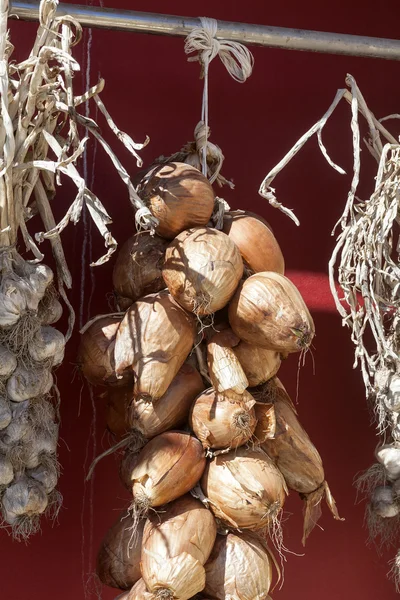 Gedroogde UI en knoflook drogen in de zon — Stockfoto