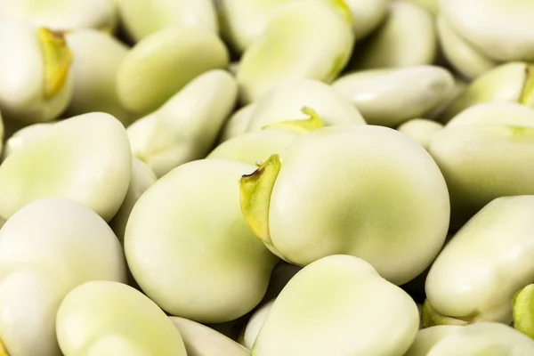 신선한 녹색 넓은 콩의 배경에 가까이 — 스톡 사진