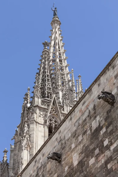 Detalles de Catedral de Barcelona en Barrio Gótico, España — Foto de Stock