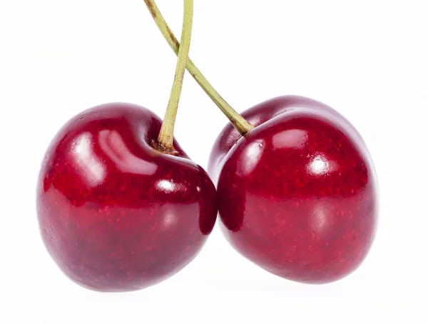 Dos frutos de cereza roja aislados sobre fondo blanco — Foto de Stock