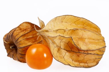 Physalis (Physalis peruviana) beyaz arka plan üzerinde izole meyve