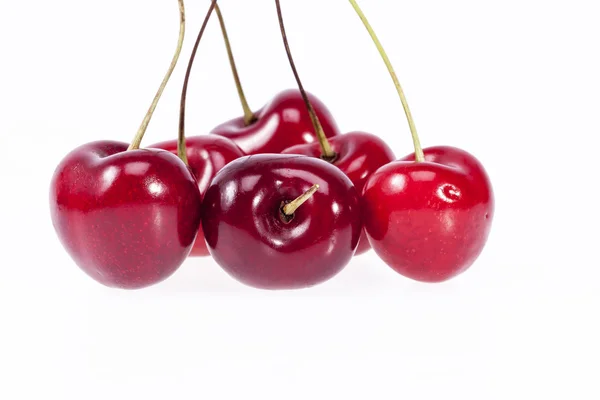 Algunos frutos de cereza roja aislados sobre fondo blanco — Foto de Stock