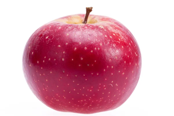 Beyaz arka plan üzerinde tek Kırmızı elma izole, yakın çekim — Stok fotoğraf