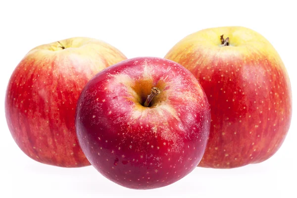 Röda äpplen isolerad på vit bakgrund, på nära håll — Stockfoto