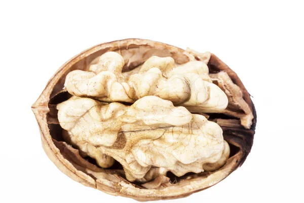 Один орех изолирован на белом фоне — стоковое фото