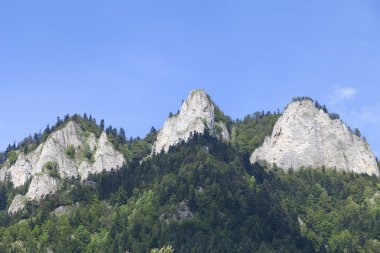 Görünüm üzerinde üç kron Massif Pieniny dağlar, Polonya