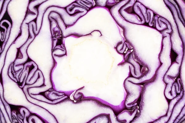 Background of cut red cabbage, abstraction — Stock Photo, Image