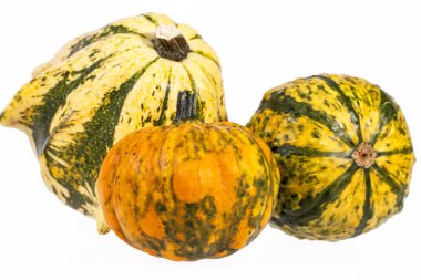 Sebze kabak dekoratif beyaz arka plan üzerinde izole