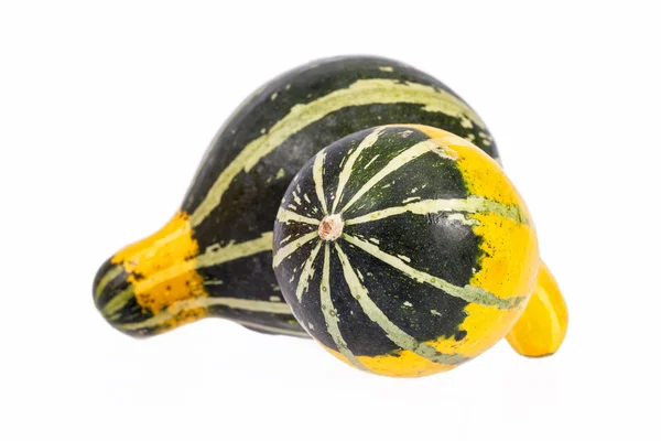 Gemüse von Kürbis dekorativ isoliert auf weißem Hintergrund — Stockfoto
