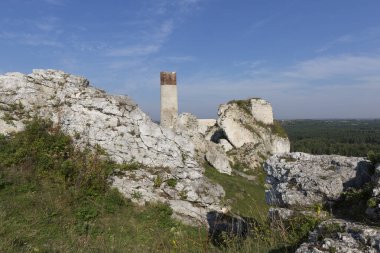 Polonya 'nın Jurassic Highland, Olsztyn, Silezya, Polonya' daki Ortaçağ Gotik Kalesi kalıntıları