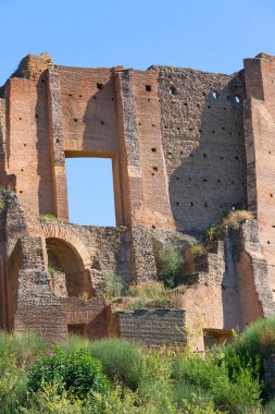 Palatine Hill, birkaç önemli antik binanın kalıntılarının manzarası. Roma, İtalya 'nın en eski bölgelerinden biridir.