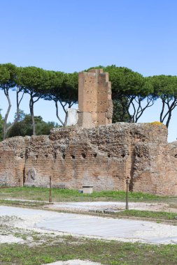 Palatine Hill, birkaç önemli antik binanın kalıntılarının manzarası. Roma, İtalya 'nın en eski bölgelerinden biridir.