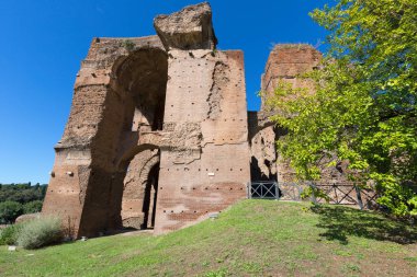 Palatine Hill, birkaç önemli antik binanın kalıntılarının manzarası. Roma, İtalya 'nın en eski bölgelerinden biridir.