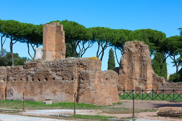 Palatine Hill, birkaç önemli antik binanın kalıntılarının manzarası. Roma, İtalya 'nın en eski bölgelerinden biridir.