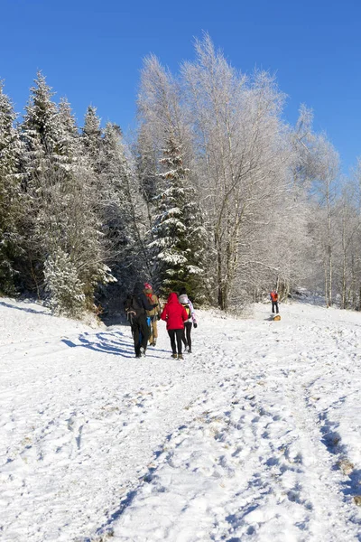 Gorce National Park Poland December 2020 Group Tourists Walking Mountains — Stock Photo, Image