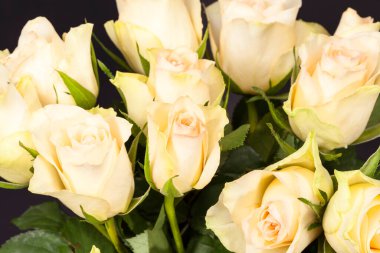 Siyah arka planda sarı güller, yaklaşın.