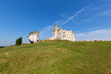 Mirow, Polonya - 16 Eylül 2020: Polonya 'nın Jurassic Highland bölgesinde bulunan Ortaçağ Gotik Mirow Şatosu